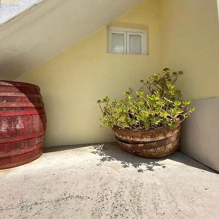 Casa Ameixa *