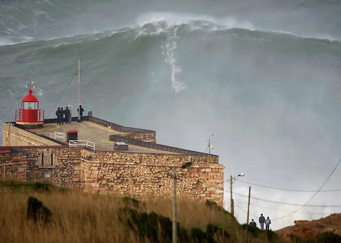 Casa Ameixa * Алкобаса